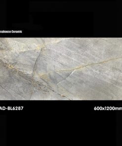 Gạch Ấn Độ 60x120 BL6287
