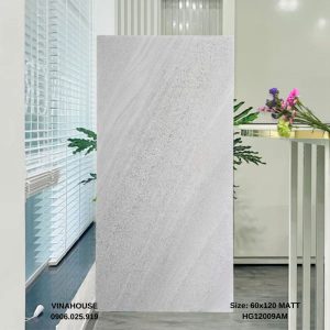 Gạch lát nền 60x120 12009