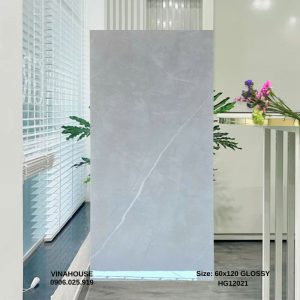 Gạch Lát Nền 60x120 12021