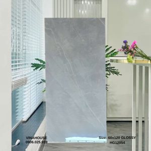 Gạch Lát Nền 60x120 12054