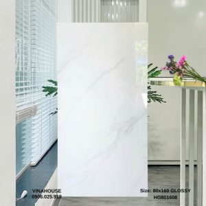 Gạch Lát Nền 80x160 801608