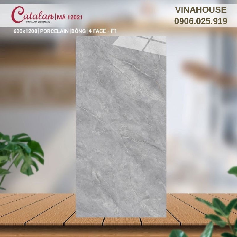 Gạch Lát Nền Catalan 60x120 12021