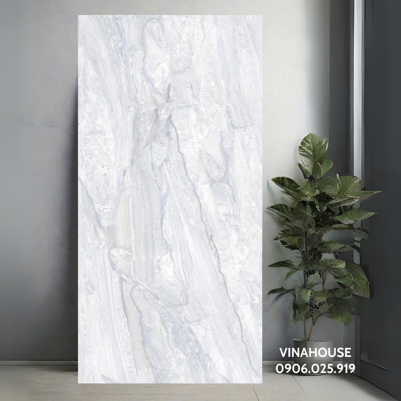 Gạch ốp lát 60x120 ghi sáng men bóng KV12653