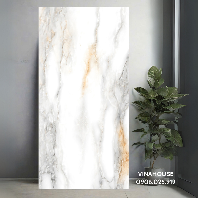Gạch ốp lát Ấn Độ 60x120 Marble men bóng VG12626