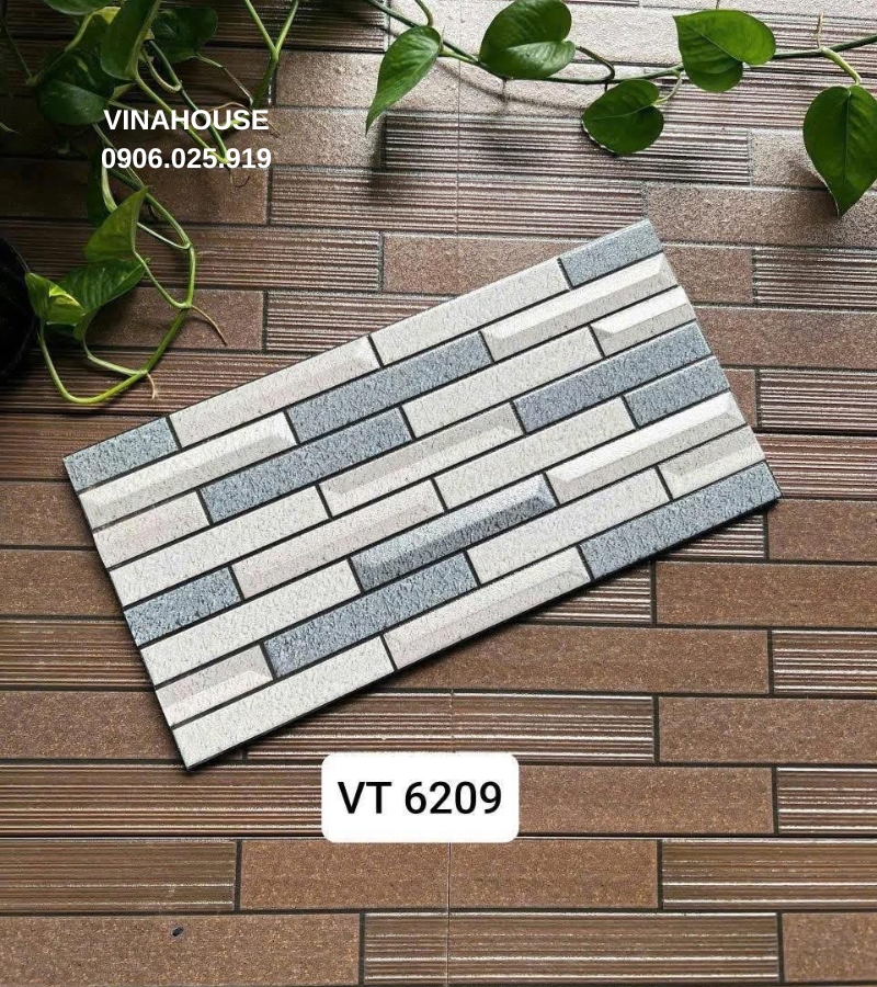 Gạch ốp trang trí 25x50 Việt Nhật VT6209