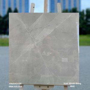 Gạch lát nền màu xám khói 60x60 5642