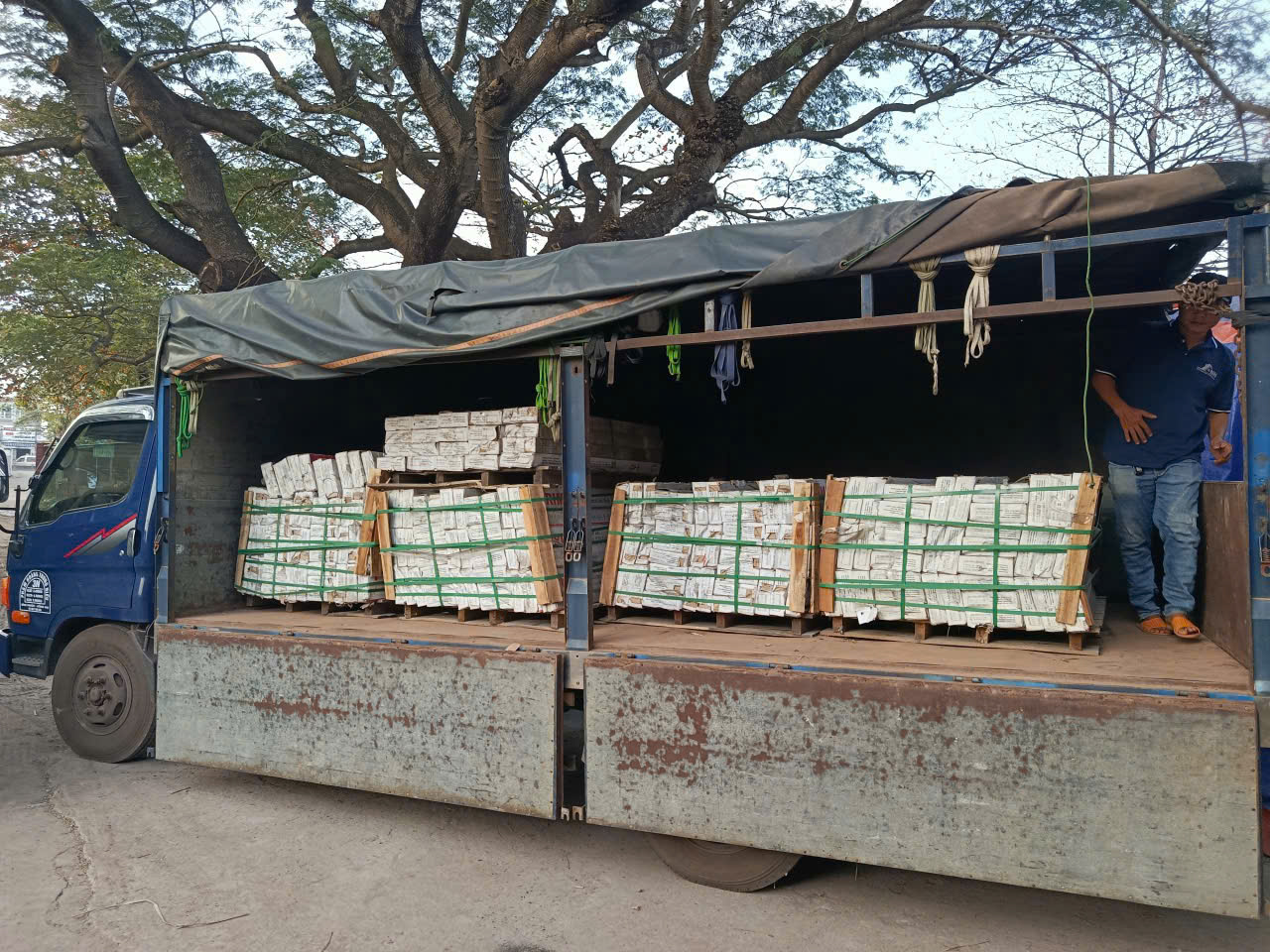 Vinahouse nhà phân phối gạch men xây dựng giá tốt cho công trình